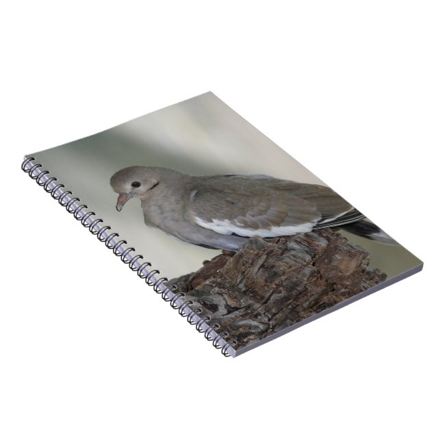 Caderno Espiral Notebook Comfy Dove (Lado Direito)