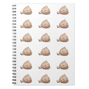 Caderno Espiral Notebook Conch Shell Photo