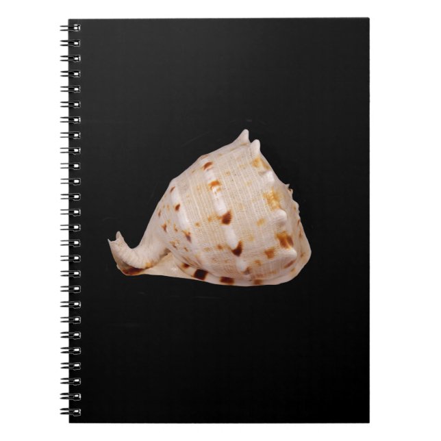 Caderno Espiral Notebook Conch Shell Photo (Frente)