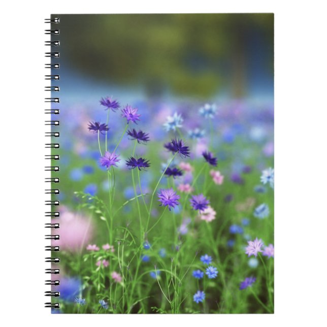 Caderno Espiral Notebook Cornflower Blue (Frente)