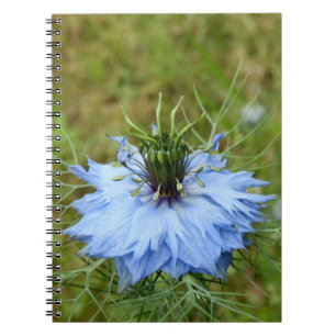 Caderno Espiral Notebook Cornflower Spiral