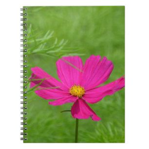Caderno Espiral Notebook Cosmos