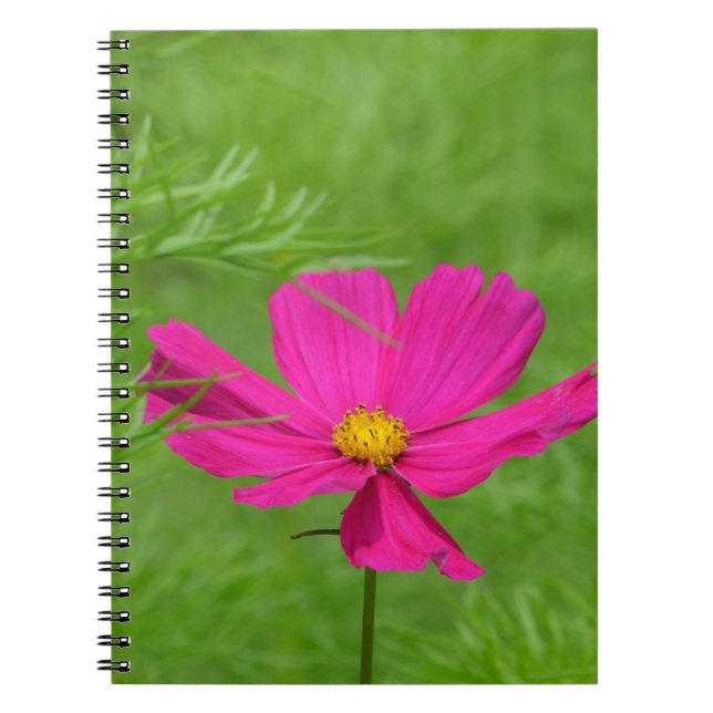 Caderno Espiral Notebook Cosmos (Frente)