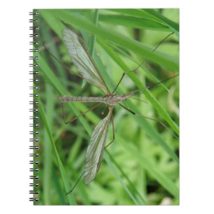 Caderno Espiral Notebook Crane Fly