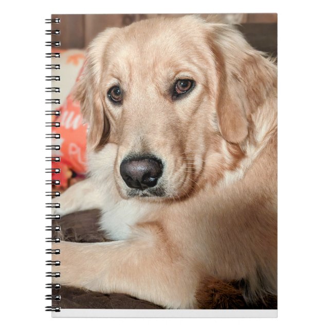 Caderno Espiral Notebook Cutie (Frente)