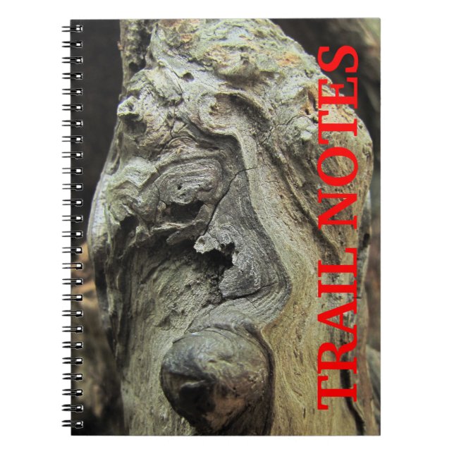 Caderno Espiral Notebook Cypress Tree Kneers (Frente)