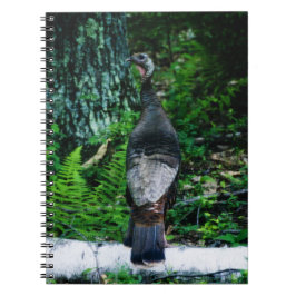 Caderno Espiral Notebook da Mãe Turquia