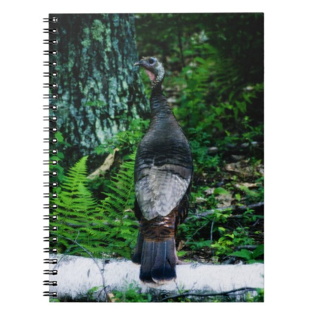 Caderno Espiral Notebook da Mãe Turquia (Frente)