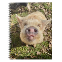 Notebook Daisies Mona