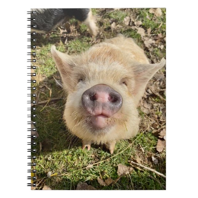 Caderno Espiral Notebook Daisies Mona (Frente)