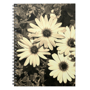 Caderno Espiral Notebook Daisy Flower Sepia