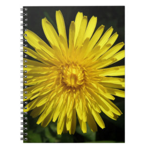 Caderno Espiral Notebook Dandelion