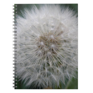 Caderno Espiral Notebook Dandelion para sementeira