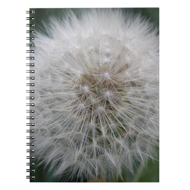 Caderno Espiral Notebook Dandelion para sementeira (Frente)