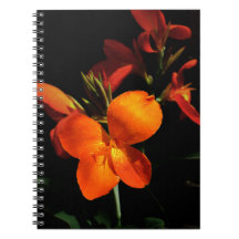 Notebook Dazzling Orchid