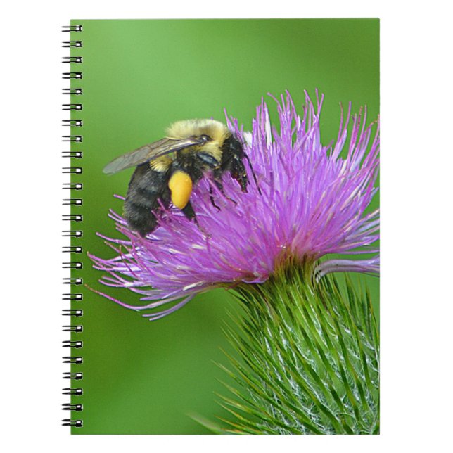 Caderno Espiral Notebook de abelhas e de Thistle (Frente)