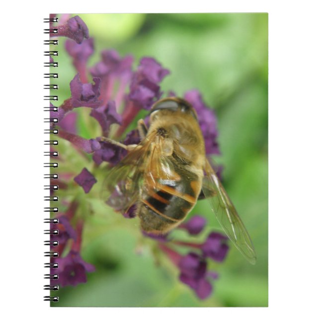 Caderno Espiral Notebook de abelhas e flores roxas (Frente)
