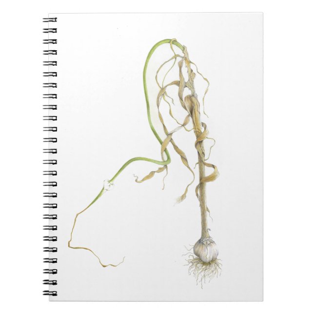 Caderno Espiral Notebook de alho (Frente)
