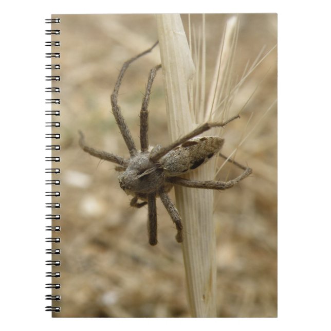 Caderno Espiral Notebook de aranha assustador (Frente)