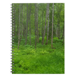 Caderno Espiral Notebook de aventura florestal de verão do Alasca 
