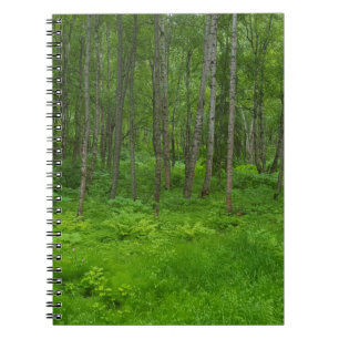 Caderno Espiral Notebook de aventura florestal de verão do Alasca