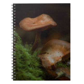Caderno Espiral Notebook de banheiro