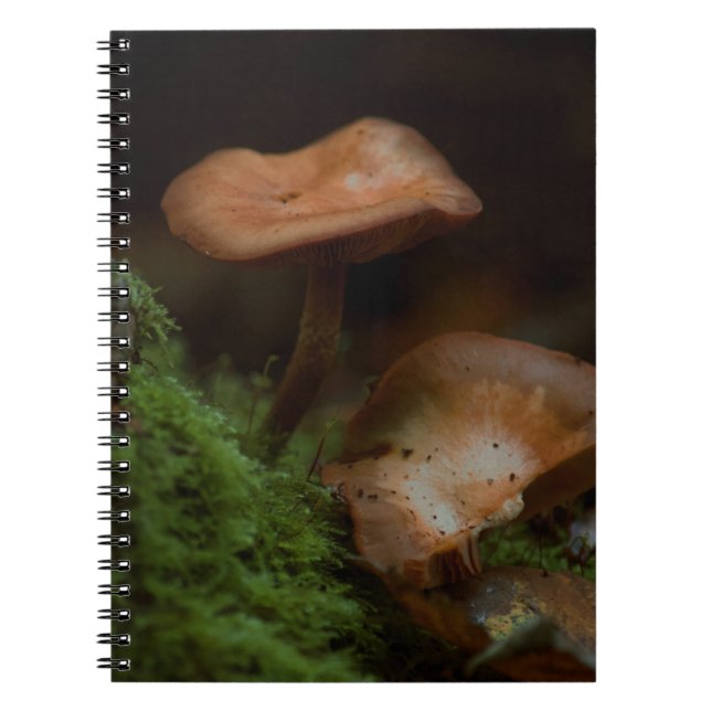 Caderno Espiral Notebook de banheiro (Frente)