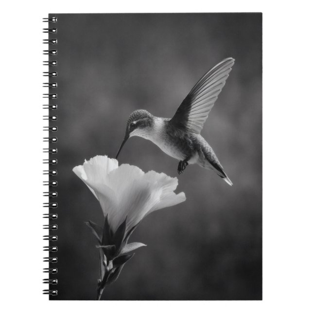 Caderno Espiral Notebook de Bebendo Hummingbird (Frente)
