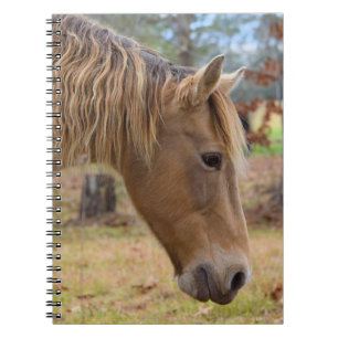 Caderno Espiral Notebook de Bela Loura