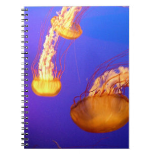 CADERNO ESPIRAL NOTEBOOK DE BOLO DE JELLYFISH SPIRAL DE FLUXO