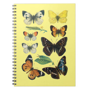 Caderno Espiral Notebook de borboleta controlado pela faculdade