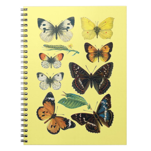 Caderno Espiral Notebook de borboleta governado pela faculdade (Frente)