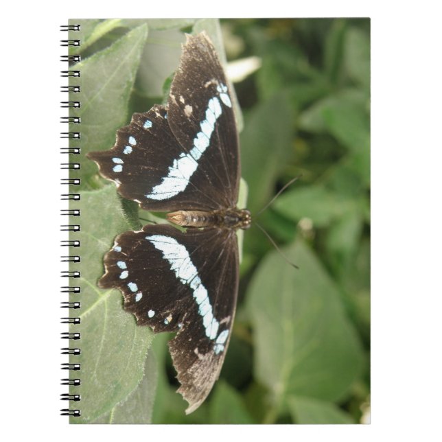 Caderno Espiral Notebook de borboleta tropical preto e branco (Frente)