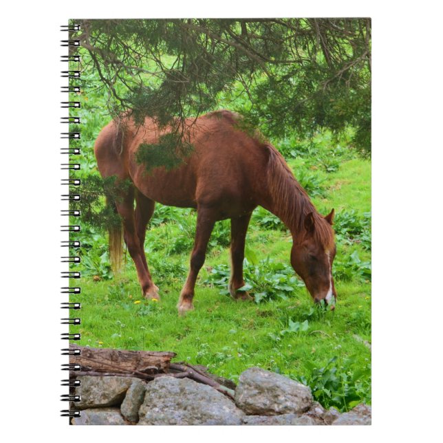 Caderno Espiral Notebook de Cavalo Grazing (Frente)