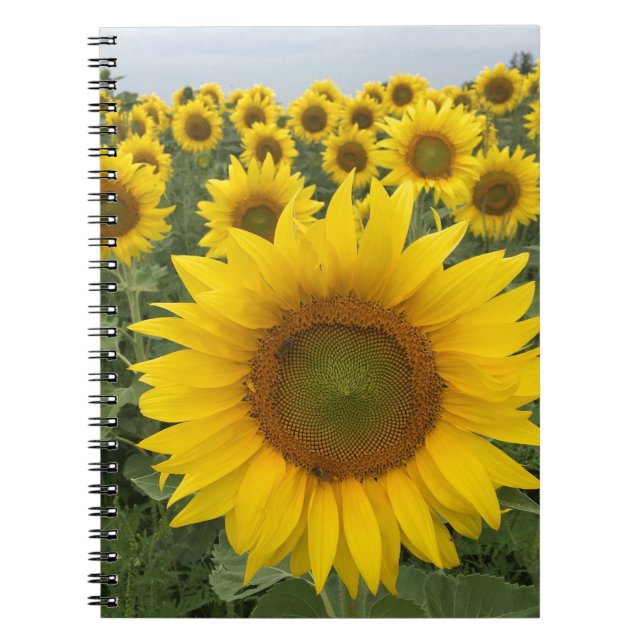 Caderno Espiral Notebook de colheita de girassol amarelo (Frente)