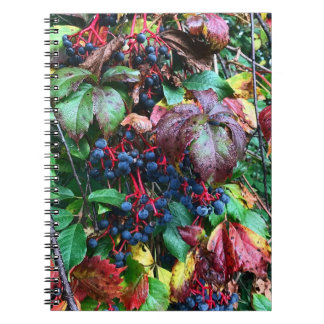 Caderno Espiral Notebook de cores ricas