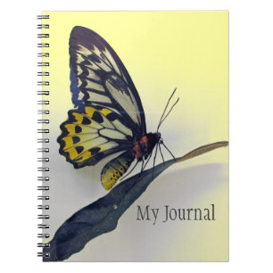 Caderno Espiral Notebook de Diário borboleta embutida por espiral