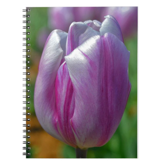 Caderno Espiral Notebook de Diário de Arte com Flor bonito com Tul (Frente)