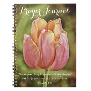 Caderno Espiral Notebook de Diário de oração cor-de-rosa