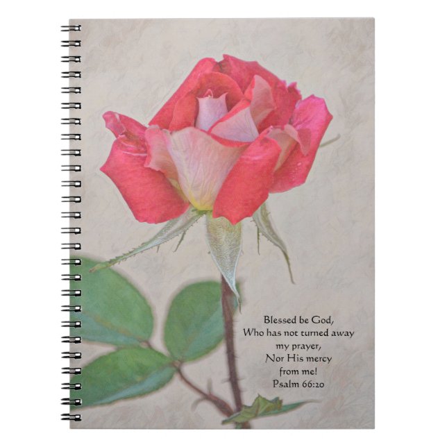 Caderno Espiral Notebook de Diário de oração rosa-rosa bonito (Frente)
