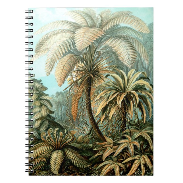 Caderno Espiral Notebook de Ernst Haeckel como Filicinae (Tree Fer (Frente)