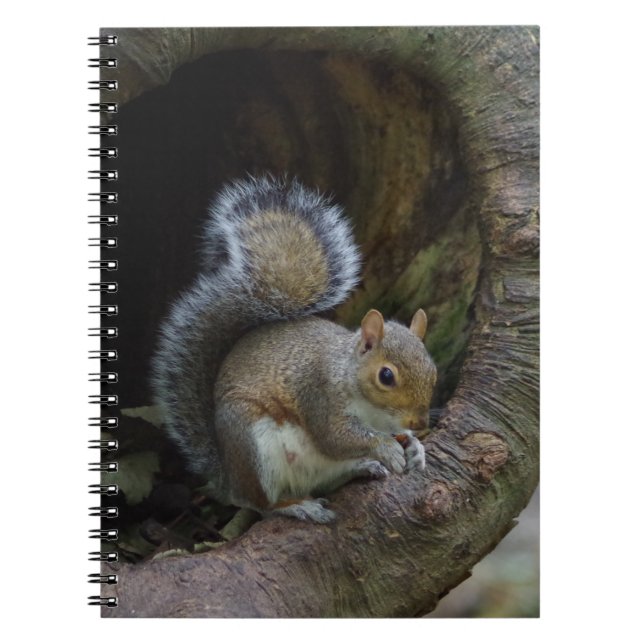 Caderno Espiral Notebook de esquilo (Frente)