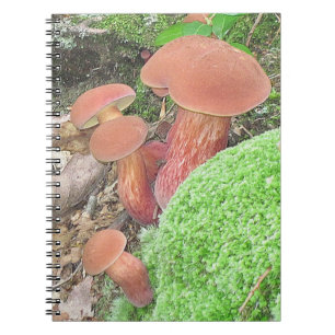 Caderno Espiral Notebook de família de mushroom bonito