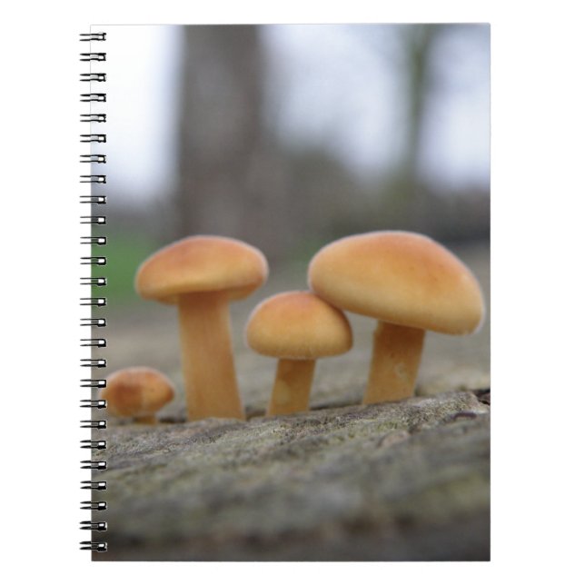 Caderno Espiral Notebook de ferramentas pequenas (Frente)