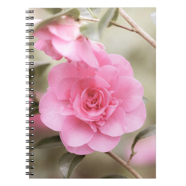 Caderno Espiral Notebook de Flor de Camela Rosa Suave (Frente)
