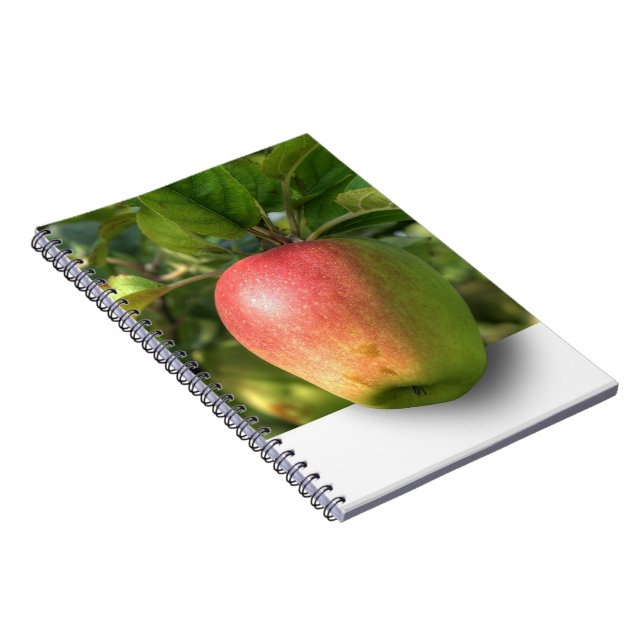 Caderno Espiral Notebook De Foto Espiral Mango 3 D (Lado Direito)