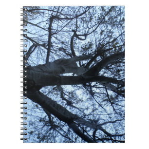 Caderno Espiral Notebook de fotografia em silhueta de árvore