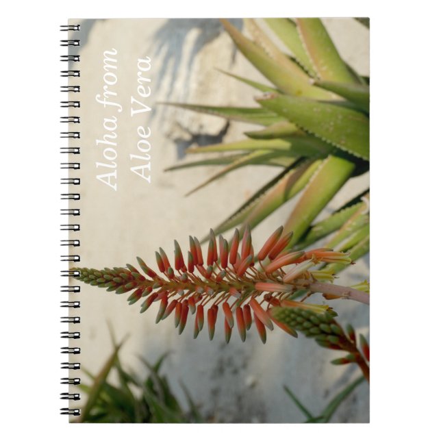 Caderno Espiral Notebook de fotos da fábrica Aloha Aloe Vera (Frente)