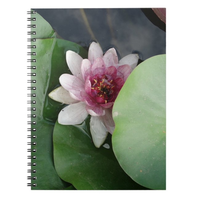 Caderno Espiral Notebook de fotos do Lotus Flower (Frente)
