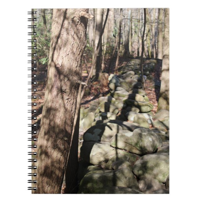 Caderno Espiral Notebook de fotos espiral (Frente)